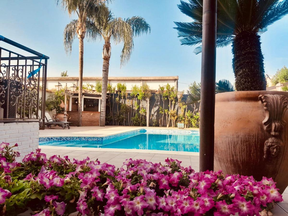 Sofi House-Appartamento In Villa Con Piscina Скафати Екстериор снимка